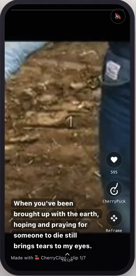 The CherryClipz reel player: a vertical video with burnt-in captions, a like count, and CherryPick and Reframe buttons.